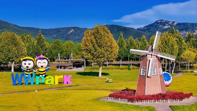 央视报道！就是现在！最佳赏叶期！还有玩法大升级……