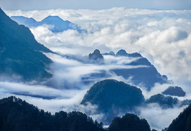 在雨中的神农架，遇见云山雾海、迷雾森林