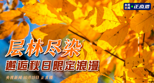 明天15:00锁定CCTV13！跟随央视直播解锁甘孜秋韵！