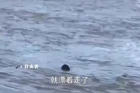 女子下水救爱犬，在江中漂流500米无法上岸，6旬大爷跳下救起她丨看见正能量图片