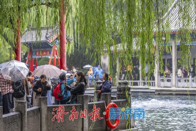 一年四季 泉在济南丨秋雨添活力，济南泉水焕发新生机