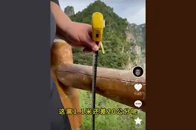 官方通报：彻底整改！图片