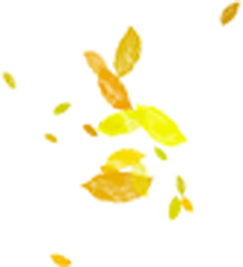 金山这些地方“含金量”满满，再不去等明年…