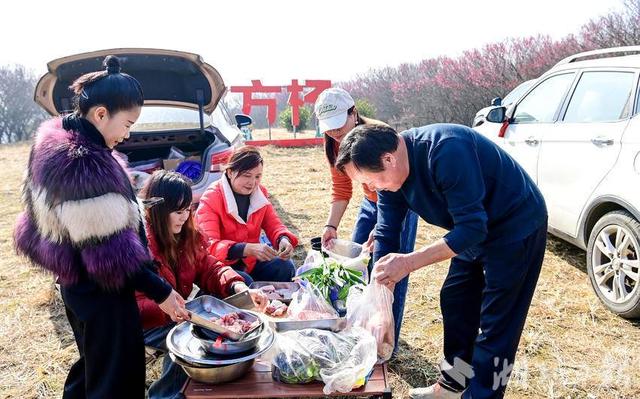 露营赏梅正当时 新洲花果山梅林初绽迎客