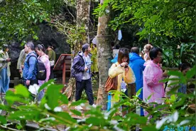开放·向未来丨采访团走进五指山：感受雨林生态魅力 沉醉黎族村寨之美图片