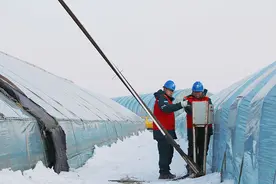 吉林永吉：寒冬快速抢修 优质服务情暖菜农图片