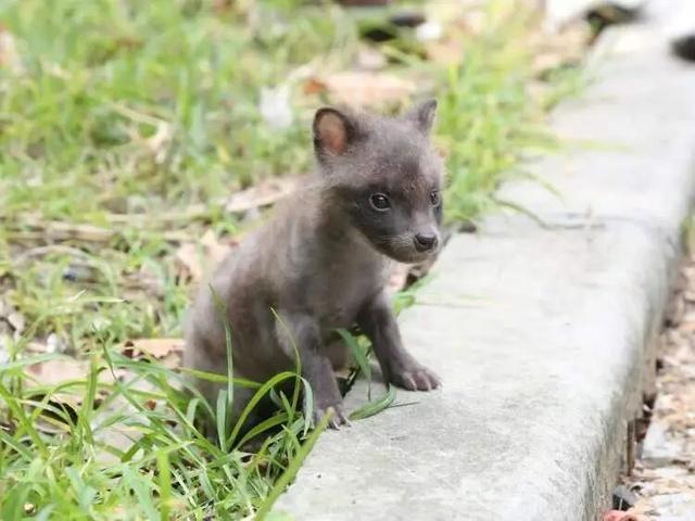 最新资讯-上海又有两个区初次发现！散布地区延续扩大，居民从惧怕到逐步接管(6)