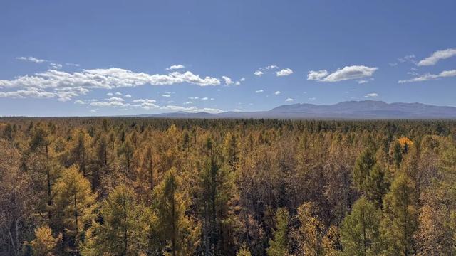 假期闲记（二）