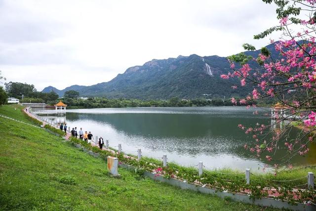 争创5A景区！珠江文之旅拿下白水仙瀑景区经营权，“艺术+文旅”新突破