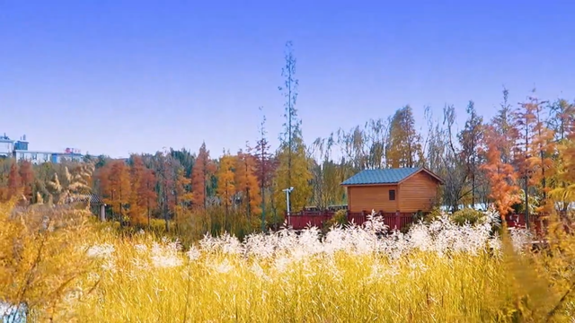 今天，楚雄要给你点颜色看看
