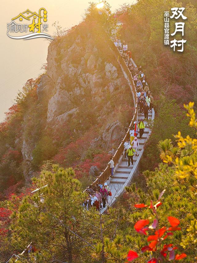 渝见好“村”光 | 巫山双月村：红叶如火，冬日C位绝了！