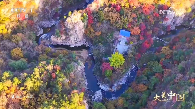 惊艳！日照初冬美景又双叒叕上央视啦！