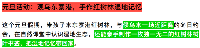 观鸟东寨港· 把一片红树林带回家