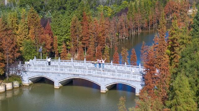 河南洛阳：伊河国家湿地公园冬景美如画