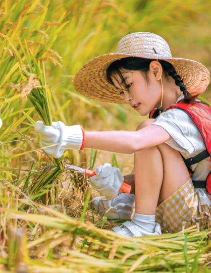 太美了，别眨眼！接下来的副中心将是这种颜色——