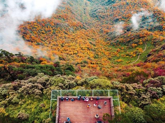 瓦屋山宠粉太狠了！整个秋季免门票！徒步拿秋季专属奖牌！
