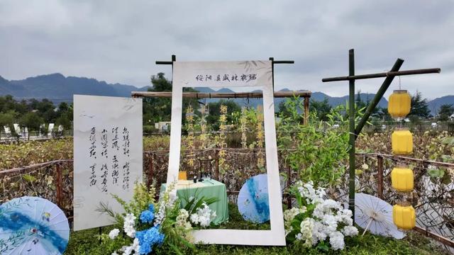 【悦遵义·SuiYang 诗意田园】在绥阳发现一个神仙地方！诗、茶、烟火气升腾，氛围感拉满！