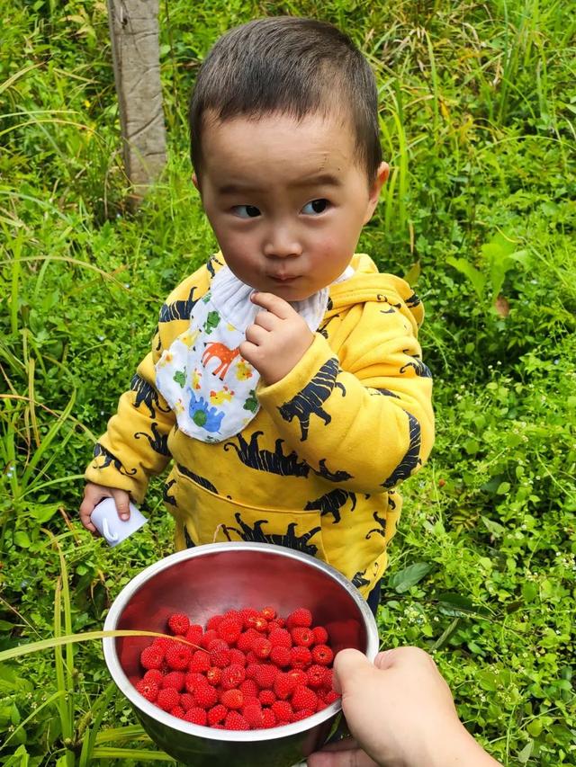 8个好友在福建抱团山居：减少物欲，尝试在山里养育下一代