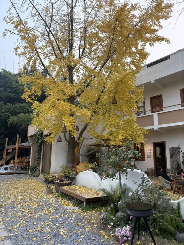 石经寺旁一日游，充电满格