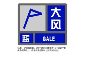 崇明发布大风蓝色预警，最新交通情况→图片