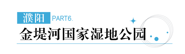 “飞雪”落中原，美了美了～