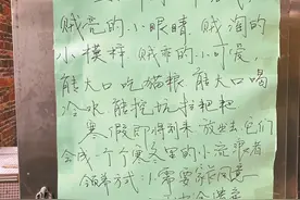 爱心师生为校园里的流浪猫打疫苗、找领养 喵星人成了这所学校的“原住民”图片