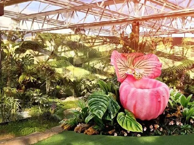 家庭园艺嘉年华｜北京兰花文化嘉年华将于明日启幕