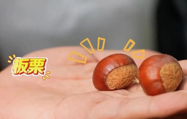 周末，去“捡秋”！