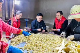 兰陵农商银行：蒜乡创业“好帮手” 青春起航“摆渡人”图片