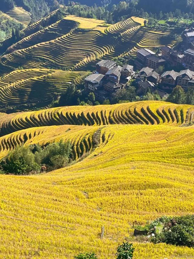 无限暖意!广西发布6条“康养旅居 冬游广西”系列精品线路