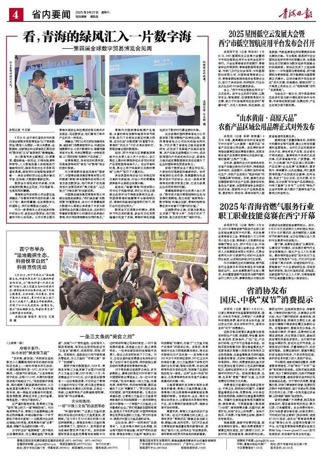 看，青海的绿风汇入一片数字海 ——第四届全球数字贸易博览会见闻