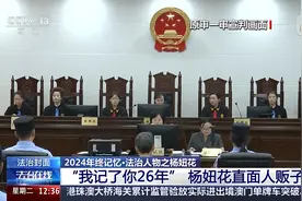 六次直面人贩子、失孤人生回归正轨……回顾打拐寻亲案的难忘瞬间图片