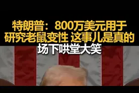 特朗普：800万美元用于研究老鼠变性，这事儿是真的，场下哄堂大笑图片