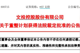 重整计划获批，*ST文投退市危机解除？图片