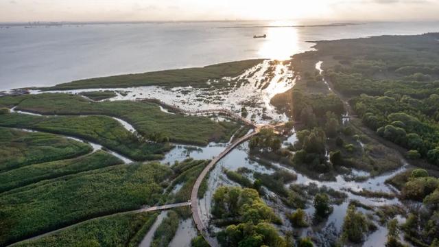 崇明这条生态研学路线，走起！
