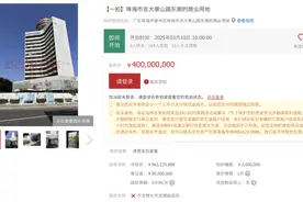 珠华大厦项目挂牌拍卖，起拍价4亿元，评估价约5.63亿元图片
