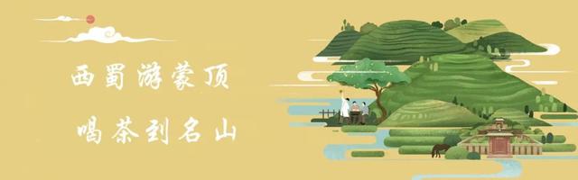 聚焦茶文旅融合 释放消费潜能 深化产业提振