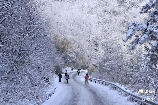 晚潮｜桐杭岗今冬第一场大雪