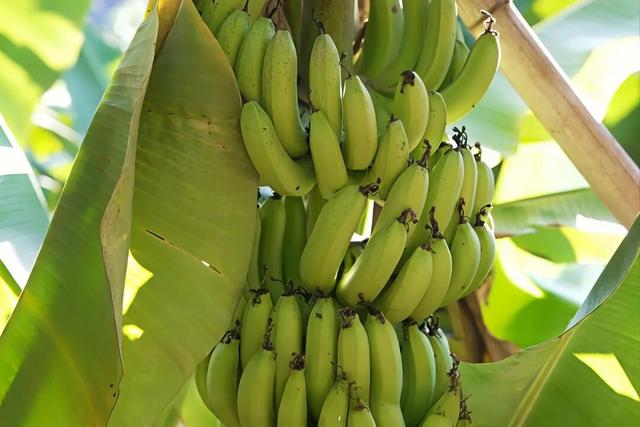 我的家乡我来赞｜秘境梭山