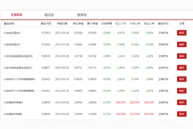 成立不满两周，这只基金单日暴涨超190%图片