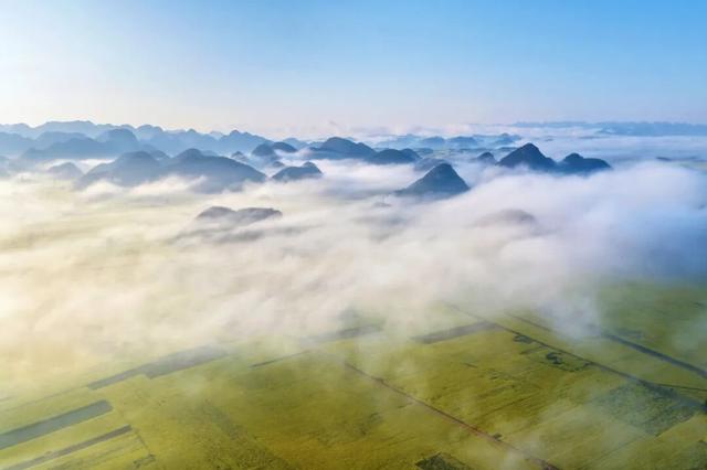 世界最大的自然天成花园｜曲靖罗平早春限定画卷