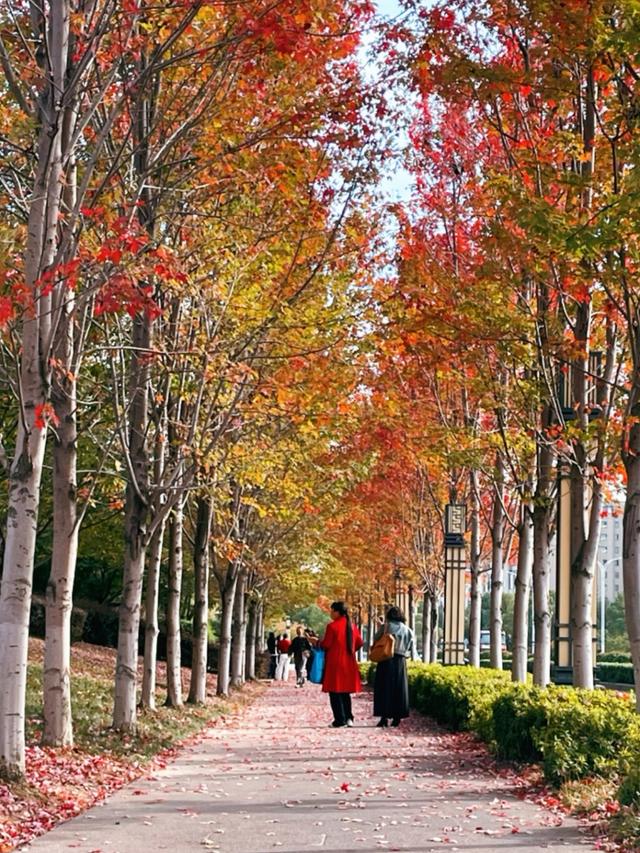 丹阳这里超出片，快来打卡~