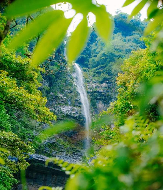 瓦屋山【夏日特惠套票】限时开抢啦！