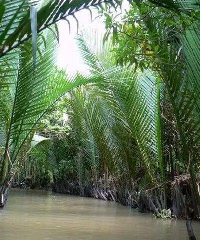 东寨港红树林研学进行时，自然课堂里的欢乐时光～