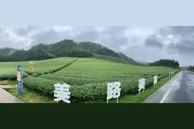 杭州精准实施农业面源污染防治技术 助力千岛湖生态共富图片