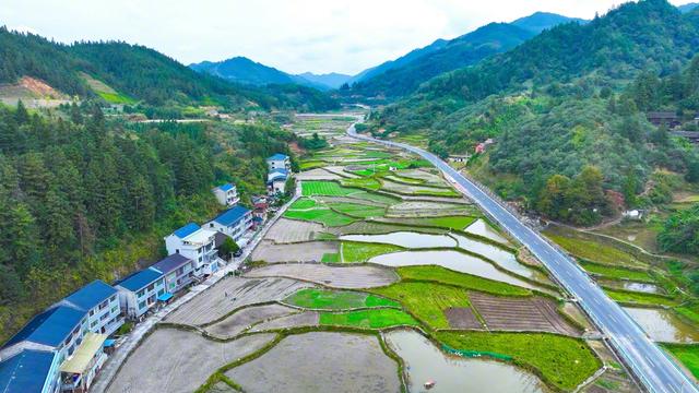 图库精选|今日好图(2025年11月1日)