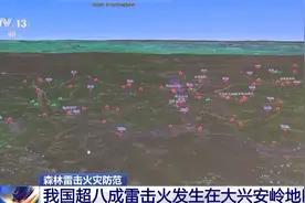 80起雷击火24小时内扑灭 森林守望者有了“追雷”黑科技图片