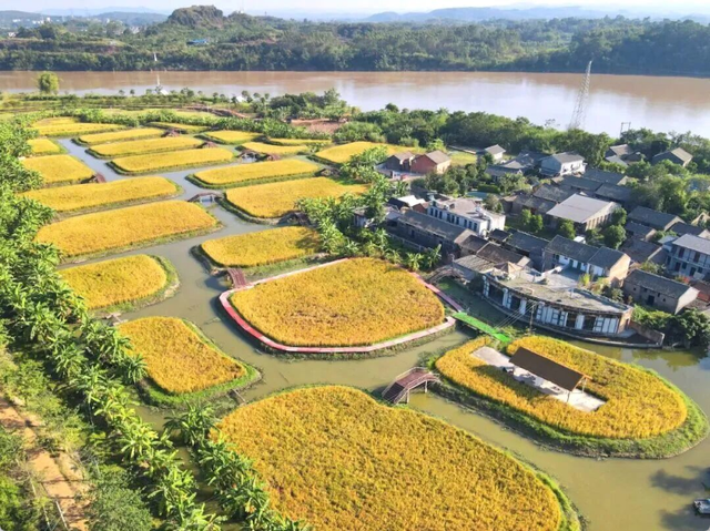 沿着高速去旅行丨循着稻香享受环城高速的风吹麦浪