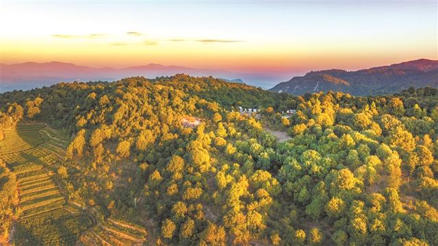 福鼎：山海交响 绿富共兴