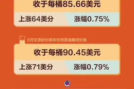 （图表）国际油价4月12日上涨图片